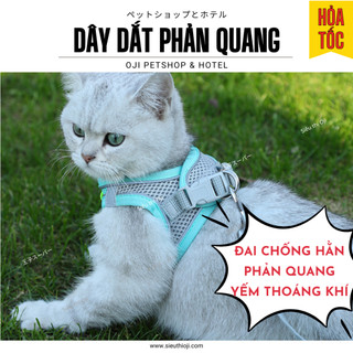 Dây Dắt Chó Mèo, 150 cm, Chống Hằn Cổ, Kèm Yếm Cao Cấp Phong Cách Hàn Quốc