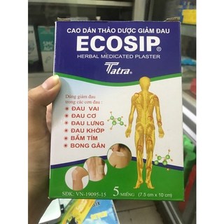 Combo cao dán nóng ecosip cool 20 gói x 5 miếng cao dán thảo dược