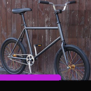 Xe đạp đường phố Fixed Gear 20