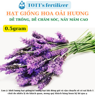 Hạt giống Hoa oải hương (Lavender) khối lượng 0.5gr dễ trồng TOTT's fertilizer