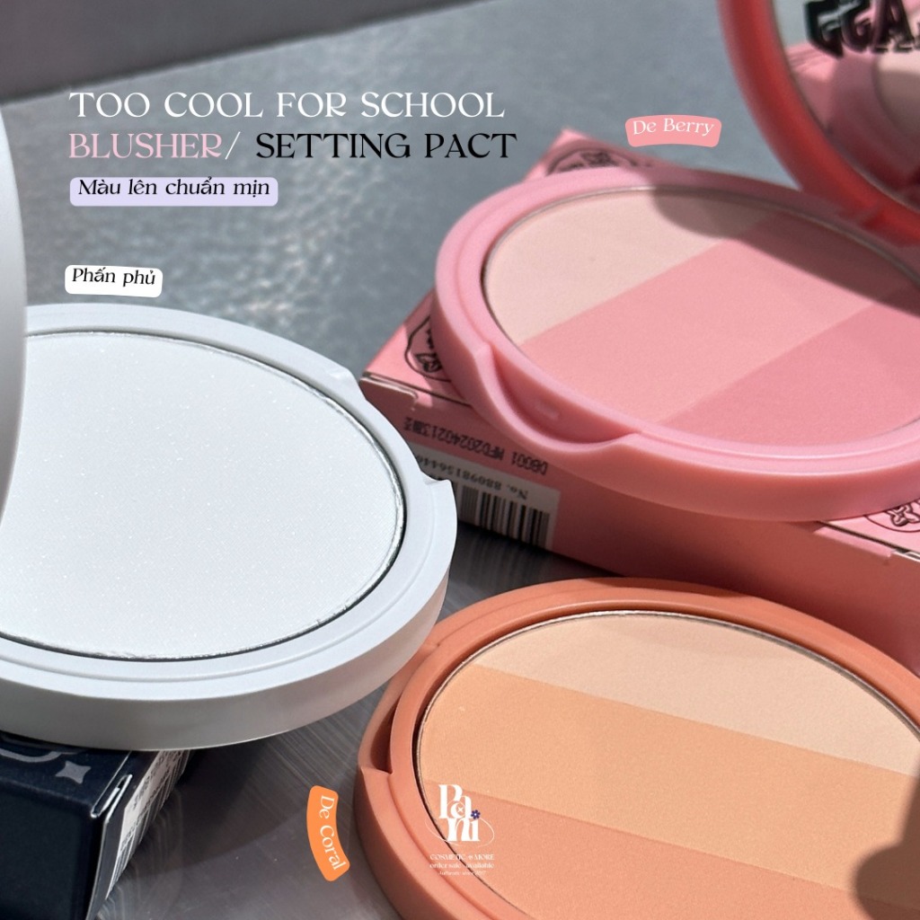 Phấn má hồng / tạo khối Too Cool By Rodin Blusher/ Shading | BigBuy360 - bigbuy360.vn