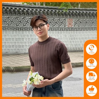 Áo thun nam dệt kim vân dọc cao cấp Độc menswear form regular trẻ trung thanh lịch đơn giản, phong cách hàn quốc - AP691