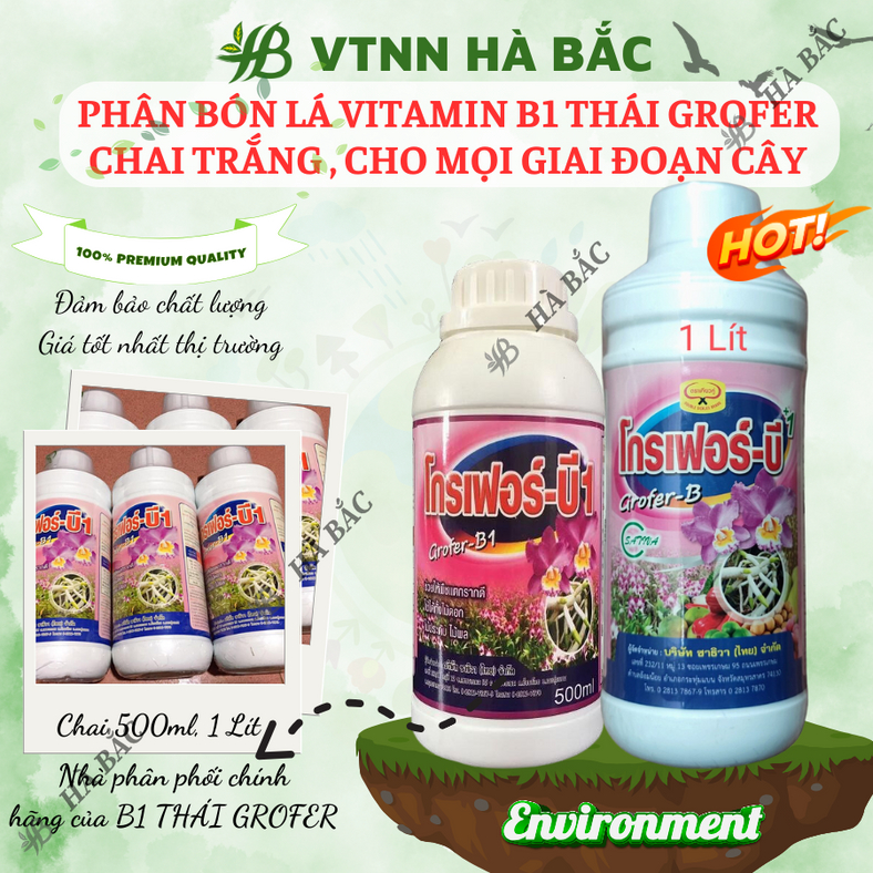 Phân bón lá VITAMIN B1 THÁI GROFER CHAI TRẮNG (500ml/1 lít), cho mọi giai đoạn cây, B1 Cho Cây Kiểng