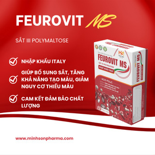 TPCN bổ sung sắt hàm lượng cao Feurovit MS chính hãng