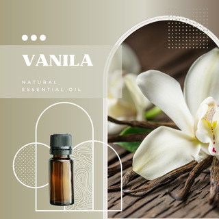  Tinh Dầu VANILLA Oil Nhiên Nguyên Chất Tạo Mùi Hương Chuyên Dụng Làm Nến Thơm DIY 