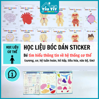 Học liệu cơ thể - học liệu bóc dán sticker giúp bé tìm hiểu thông tin về hệ thống cơ thể