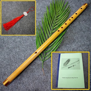 SÁO TRÚC THẮM SÁO Tone Đô (C5) Chuẩn Âm Giá Rẻ