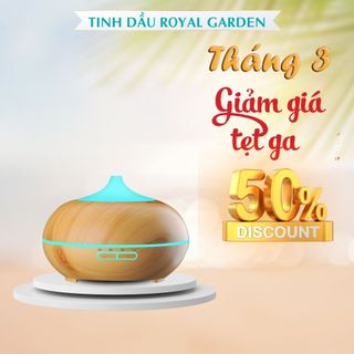 Máy khuếch tán tinh dầu bí ngô 550ml bền đẹp