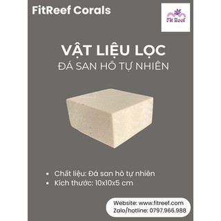 Vật liệu lọc cao cấp bằng đá san hô tự nhiên chuyên dùng cho bể nước mặn (kích thước từ nhỏ đến trung)