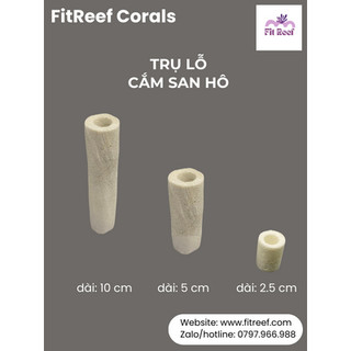 Đế frag cắm san hô có lỗ bằng chất liệu đá san hô tự nhiên