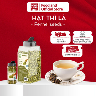Hạt thì là AB- hầm canh, muối rau củ - Foodland