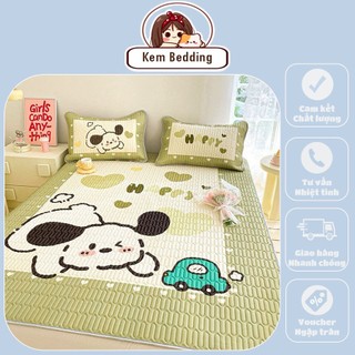 Chiếu điều hòa cao su non 5d có chun cài