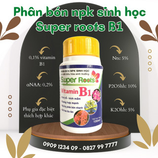 Thuốc kích rễ Super roots B1 chai 100ml- Phân bón NPK sinh học Super Roots Vitamin B1