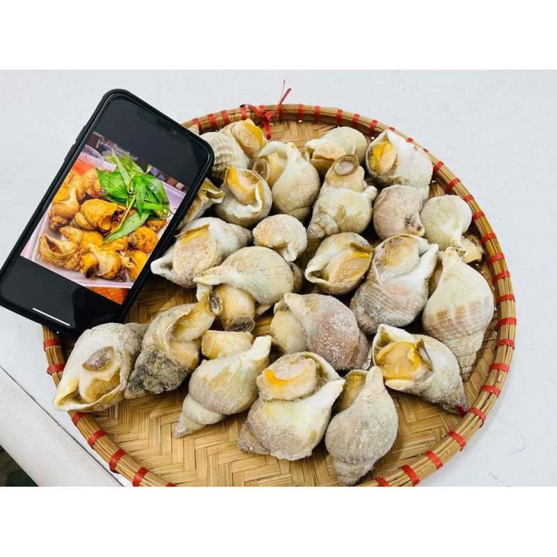 (HCM - CHỈ GIAO HỎA TỐC) Ốc Bulot Pháp tươi ngon (1kg)