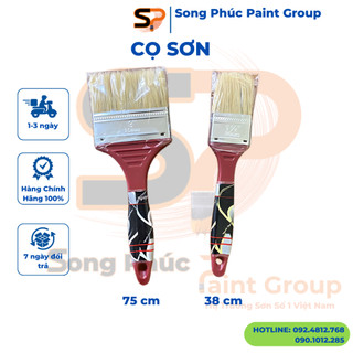 Cọ quét Sơn Cán Nhựa Lông Heo Thanh Bình