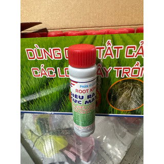 New Siêu kích rễ Root Kinh lọ 20ml kích rễ giâm chiết cành