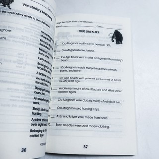 Sách - Magic Tree House Phần 1 - bộ 38 cuốn