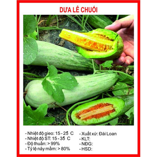 Hạt giống dưa lê chuối nhập khẩu Đài Loan - 20 hạt