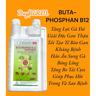 Tái tạo tế bào gan thận buta phosphan b12 cho gà