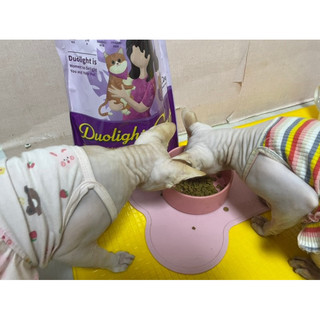 [ 5kg ] Hạt Duolight Cat cho mèo 🐈
