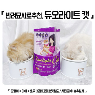 [ 5kg ] Hạt Duolight Cat cho mèo 🐈