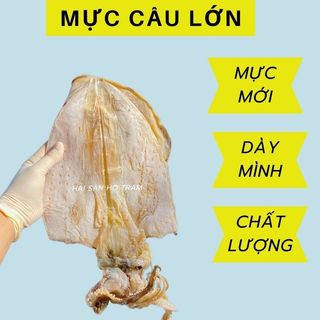 Khô Mực Lá Câu Đặc Biệt to hơn bàn tay trở lên mực ngọt lắm