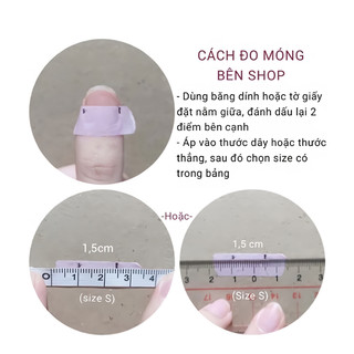 Nailbox thiết kế 10 móng úp[TD08]