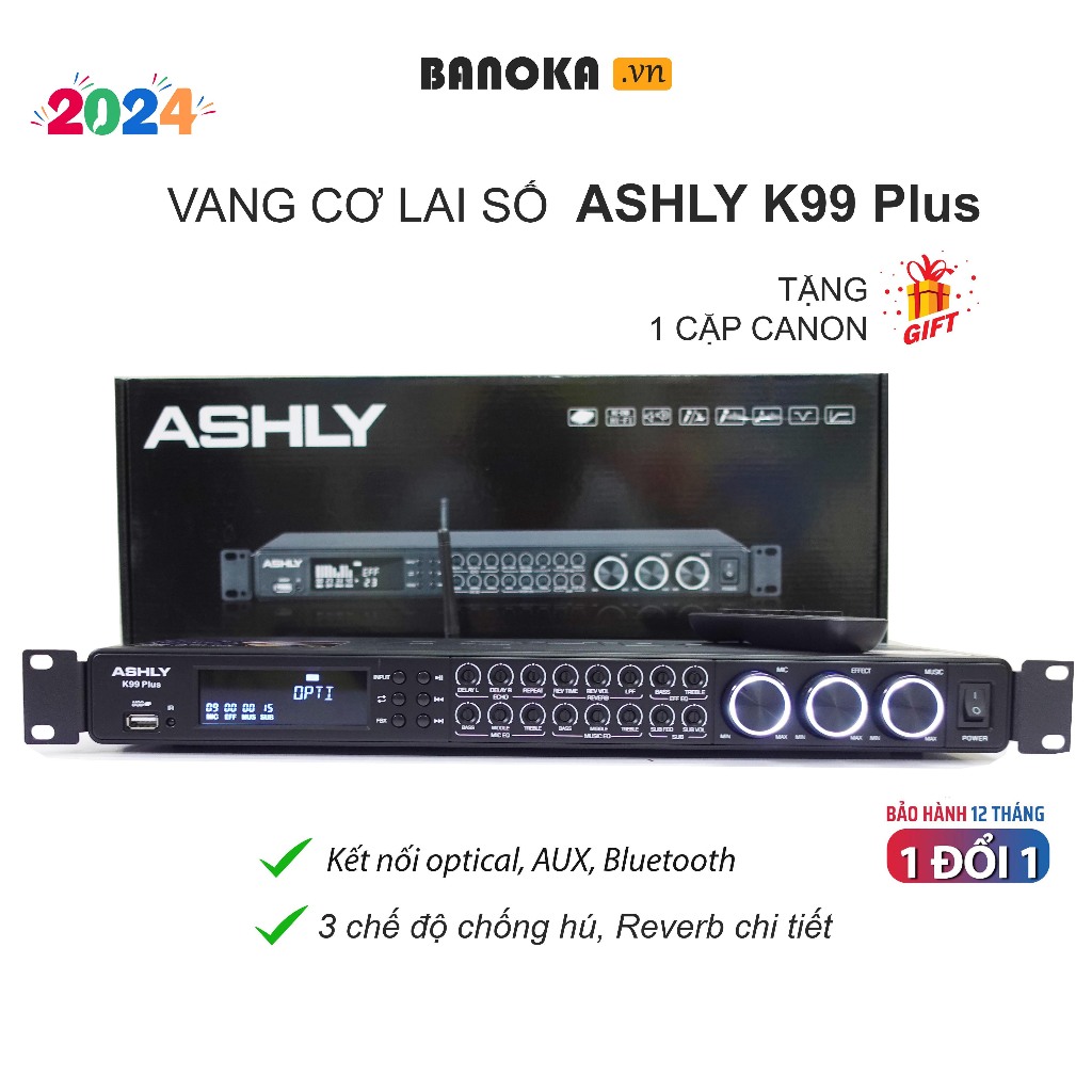 [Tặng cặp CANON] Vang cơ Ashly K99 Plus, vang cơ lai số âm thanh chuyên nghiệp, 3 cấp độ chống hú, echo reverb mượt