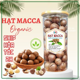Hạt Mắc Ca hũ 400gram - Hạt mắc ca sấy nứt vỏ Đăk Lắk