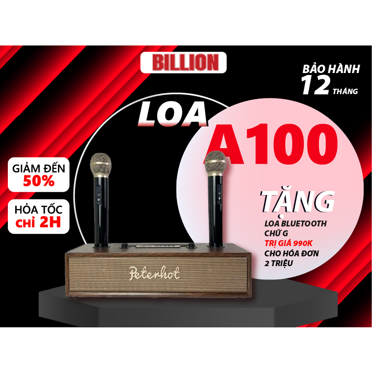 Loa Karaoke Bluetooth PETERHOT A100 cao cấp kèm 2 micro, công suất 20W bass trầm, thiết kế vỏ gỗ sang trọng BILLION. .