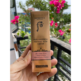 Kem mụn xóa thâm mờ sẹo nizhenya 15ml