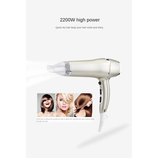 Máy sấy tóc Pritech TC-2256 2200W