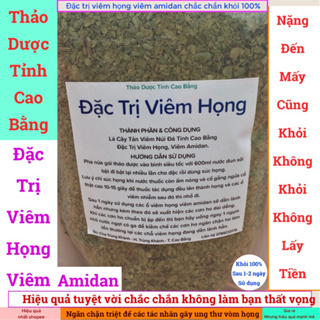 VIÊM HỌNG CAO BẰNG - Đ .Ặ. C T.R.Ị Viêm Họng, Viêm Amidan