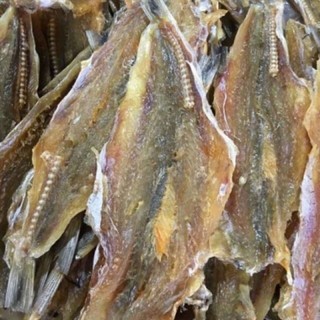 1kg CÁ MỐI khô ngọt cay ngon
