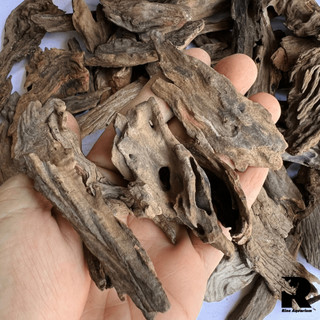 (500g) Lũa Săn Đá Vụn, Mini Size Trang Trí, Thiết Kế Layout Bể Thủy Sinh