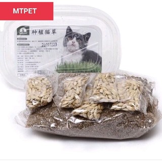 Bộ kit trồng cỏ cho mèo