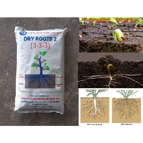 Phân bón hữu cơ  DRY ROOTS 2 (3-3-3) 1 kg