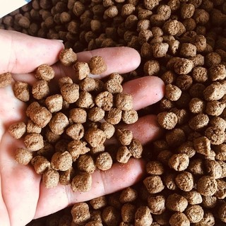 1kg thức ăn cá lái thiêu dt06 18% đạm cho cá ăn hoặc dùng câu cá-cám cá lái thiêu