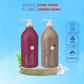 Dầu gội đầu phục hồi hư tổn và dưỡng tóc Kumano Salon Link Amino Damage Repair Shampoo 1000ml