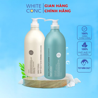 Dầu gội dưỡng tóc mềm mượt và phục hồi tóc hư tổn Kumano Salon Link Amino Protein 1000ml