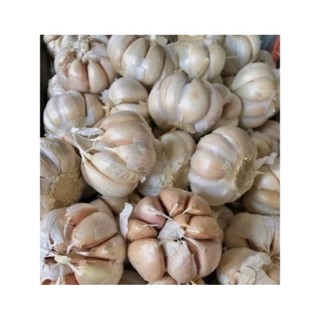 Tỏi sạch túi 500g