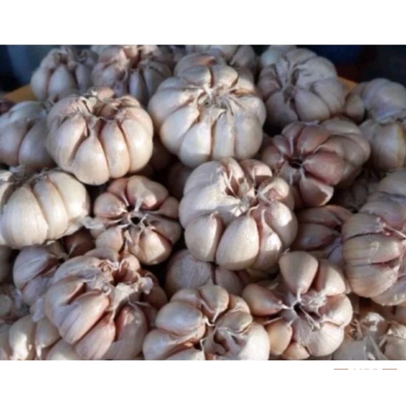 Tỏi sạch túi 500g