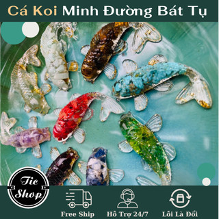 Cá koi phong thuỷ thả bát sen minh đường tụ thuỷ trang trí