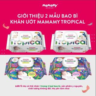 Combo 12 Khăn giấy ướt 100% sợi tự nhiên và rayon Mamamy Tropical Tinh dầu cúc vạn thọ/Không mùi 90 tờ