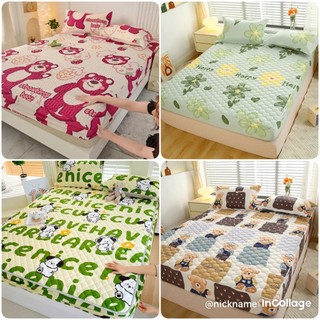 Ga giường trần bông vải cotton Poly 3 lớp dày dặn