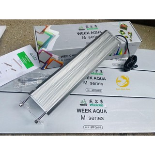Đèn Led Week Raptor Pro series M - Dòng mới nhất