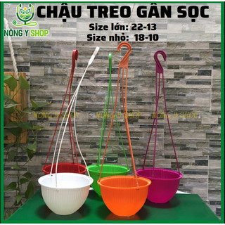 Chậu treo Gân sọc, siêu xinh trồng hoa kiểng trang trí, nhiều màu sắc, nhiều size
