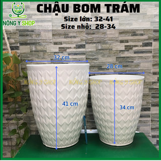 Chậu bom trám, chậu tròn trắng, chậu bom trắng, chậu trồng hoa, chậu trồng cây kiểng