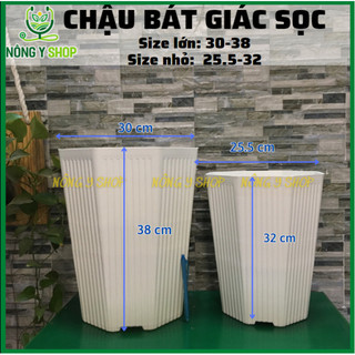 Chật bát giác sọc trắng, chậu vân sọc trắng, chậu 8 cạnh, chậu cây cảnh, chậu kiểng