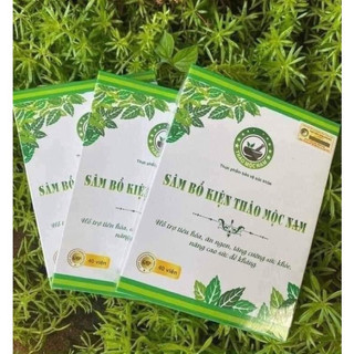Sâm bổ kiện thảo mộc nam